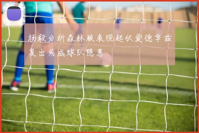 杨毅分析森林狼表现起伏爱德华兹复出或成球队隐患