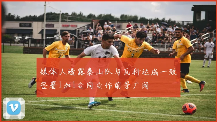 媒体人透露泰山队与瓦科达成一致签署1加1合同合作前景广阔