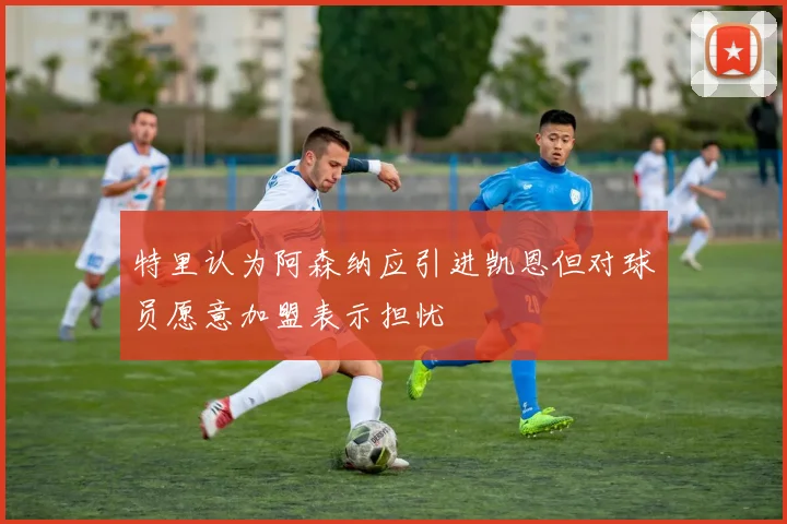 特里认为阿森纳应引进凯恩但对球员愿意加盟表示担忧